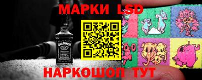 дмт Донской