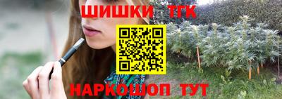 крисы Дубна