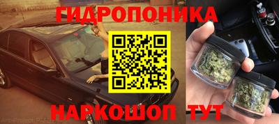 крисы Дубна