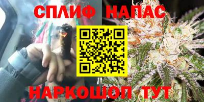 дмт Донской