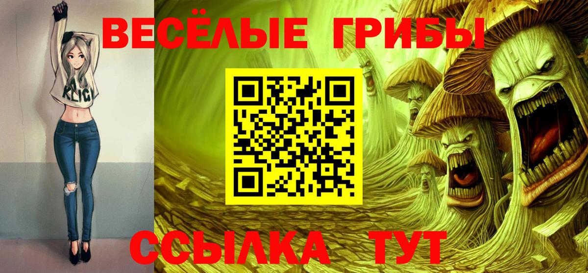 Псилоцибиновые грибы Psilocybe Кумертау