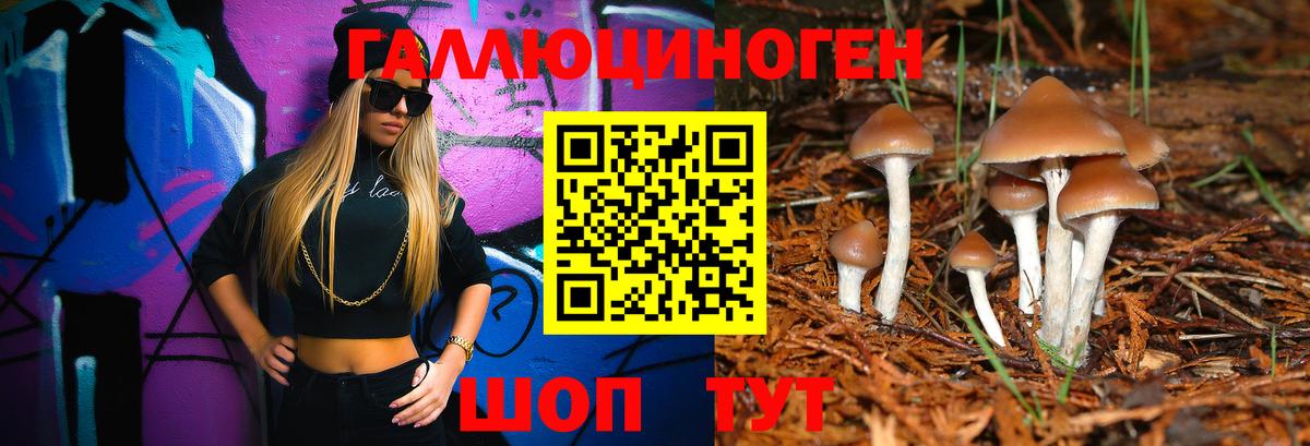 Псилоцибиновые грибы GOLDEN TEACHER  Вход с VPN  Кумертау  Псилоцибиновые грибы Psilocybine cubensis 